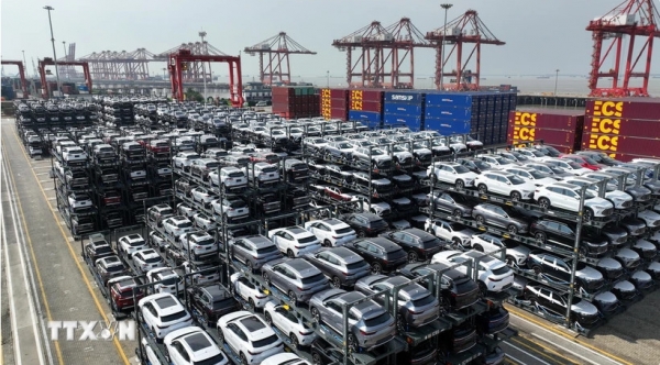 Ô tô nhập khẩu chất đống các cảng CA biến thành bãi đỗ xe_20240411025053.jpg